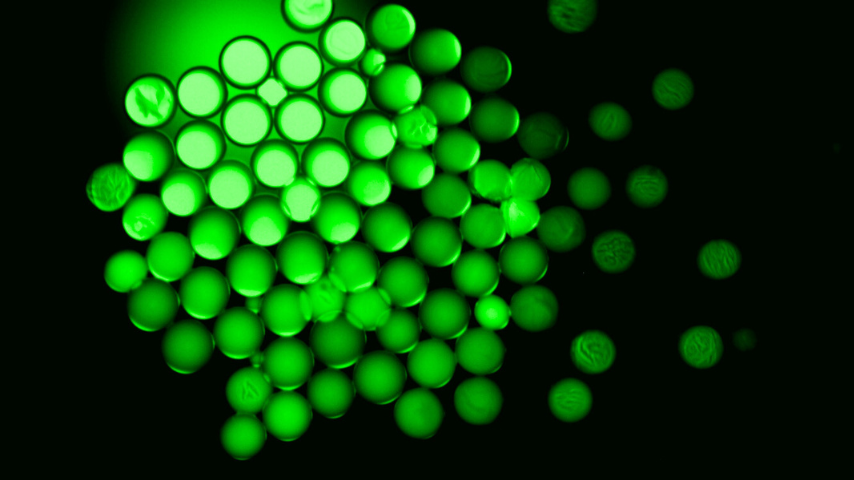 photo_example photo_example